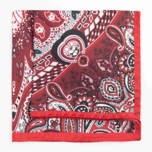 Pochette fantasia paisley - FANT. BORDEAUX