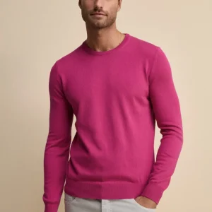 Maglia girocollo in cotone - LAMPONE