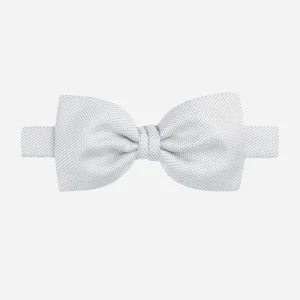 Papillon perla - PERLA