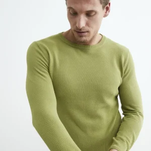 Pullover girocollo in cotone - LICHENE