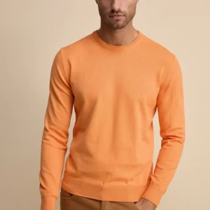 Maglia girocollo in cotone - ARANCIO