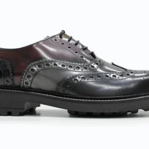 Derby Brogue Tricromia