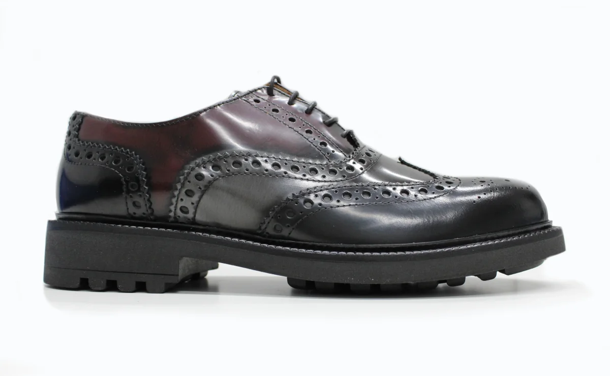 Derby Brogue Tricromia
