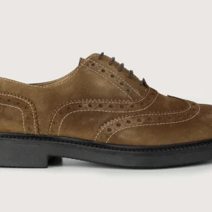 Duilio Camoscio Sigaro