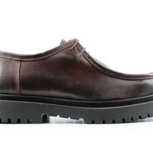 Ingegnere Pie de Poule