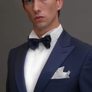 Papillon in seta jacquard fantasia blu tono su tono