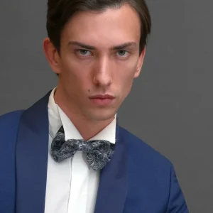 Papillon seta damascato blu e bianco