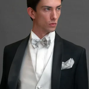 Papillon in seta grigio perla